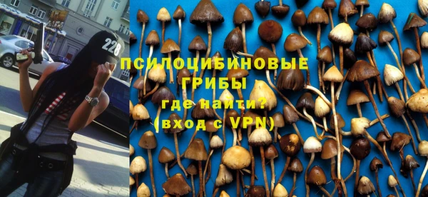 стаф Карталы