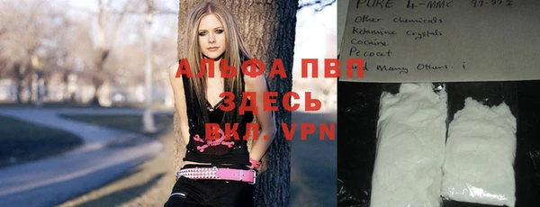 стаф Карталы