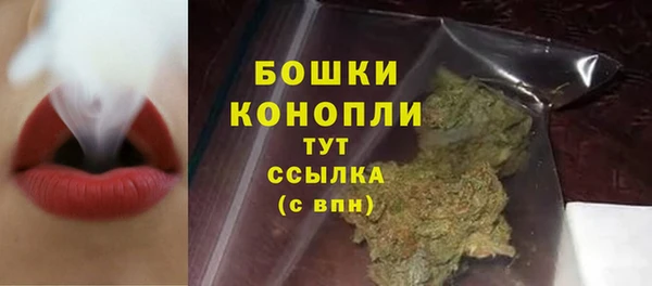 стаф Карталы