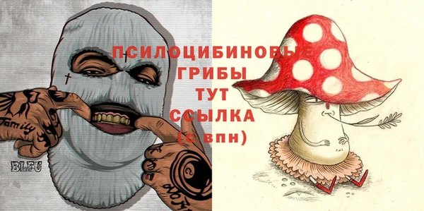 гидропоника Касимов