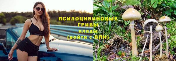 гидропоника Касимов