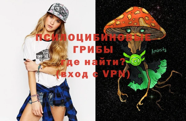 гидропоника Касимов